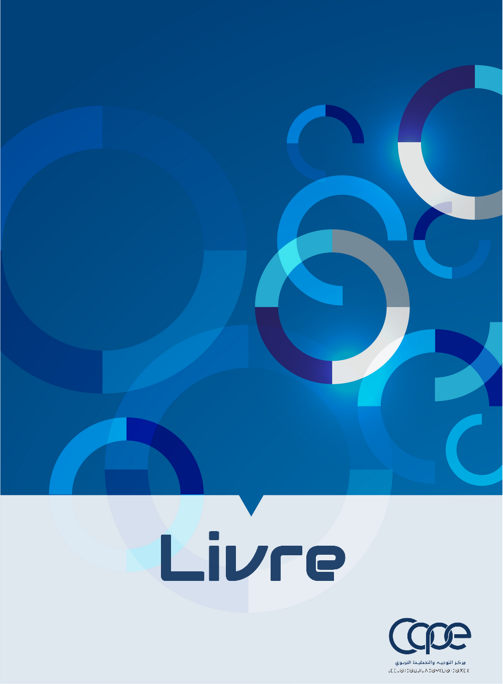 LES MODELES EDUCATIFS D'ORIENTATION ANALYSE DES VARIABLES PEDAGOGIQUES SUR LESQUELLES ON SE BASE POUR DETERMINER LE CHAMP D'ETUDE DE L'ELEVE A ORIENTER